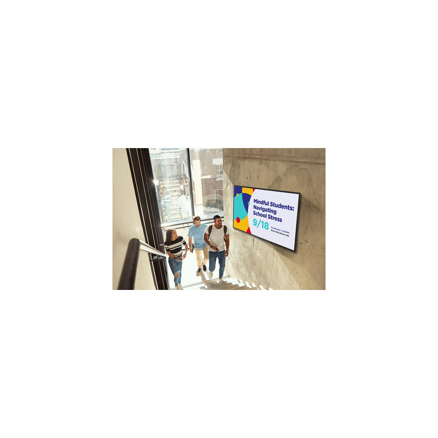 Viewsonic 165.1cm CDE6531-1C 16:9 HDMI LAN USB-C 500nits — Buy in Cyprus with Fast Delivery