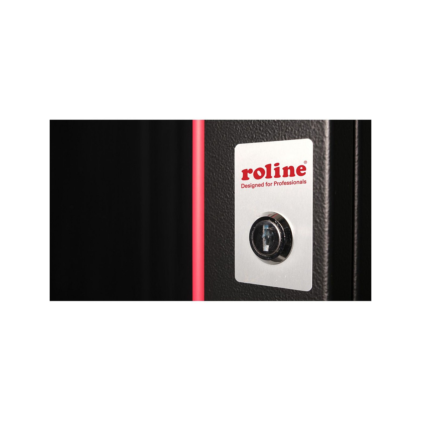 ROLINE 19-Zoll Wandgehuse Pro 12 HE. 600x450 BxT schwarz — Buy in Cyprus with Fast Delivery