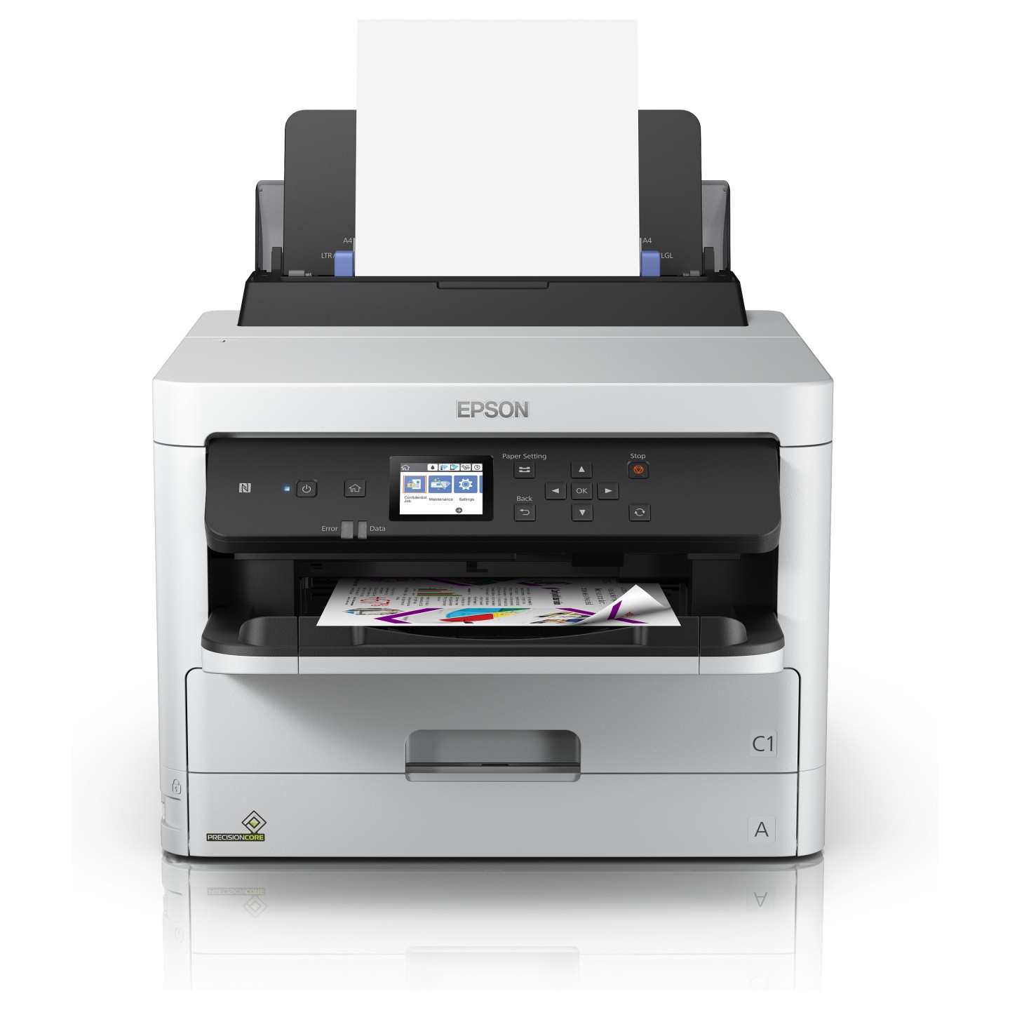 Epson Tintenpatrone T01C100 XL schwarz (ca. 10.000 Seiten) — Buy in Cyprus with Fast Delivery