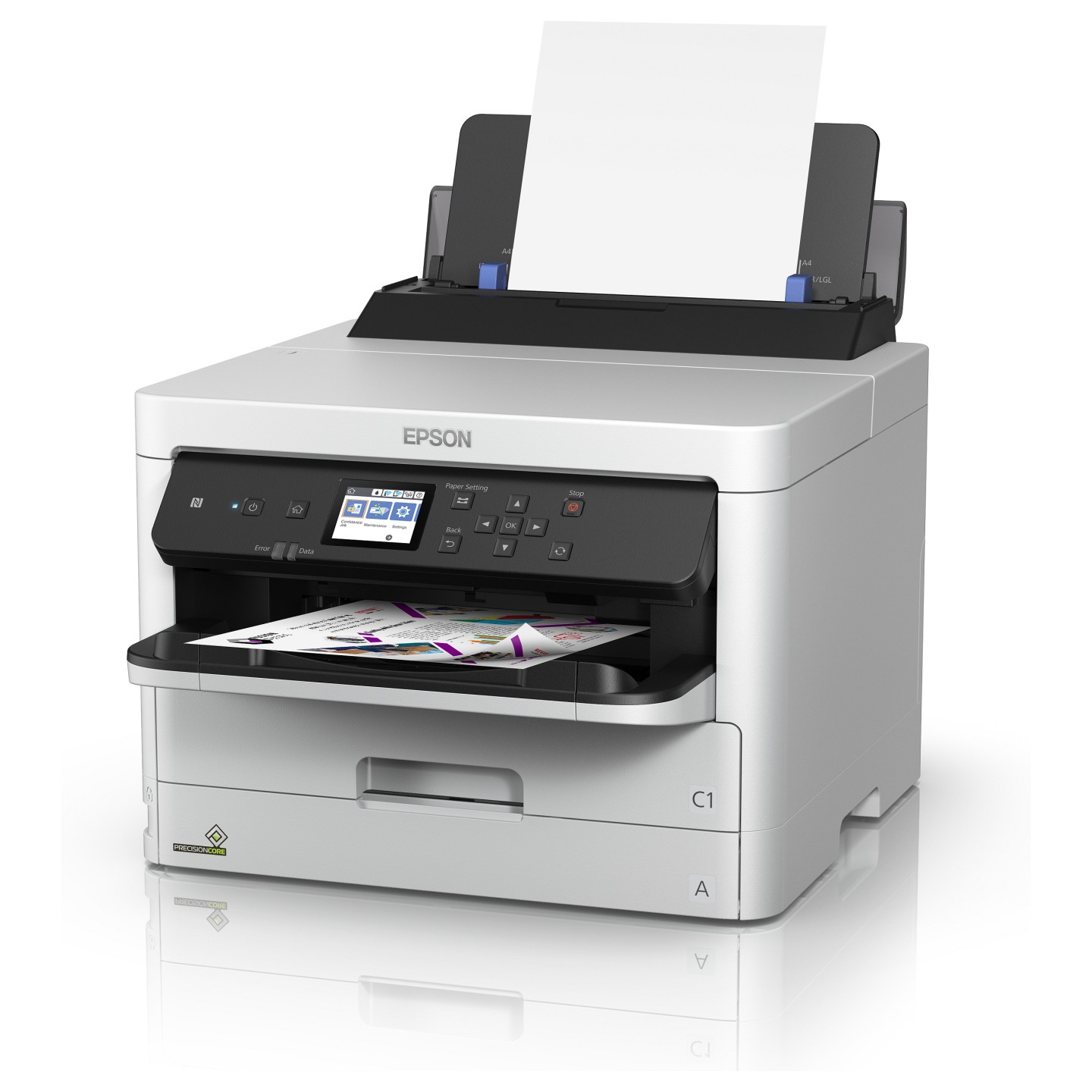 Epson Tintenpatrone T01C100 XL schwarz (ca. 10.000 Seiten) — Buy in Cyprus with Fast Delivery