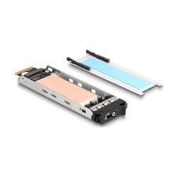 Wechselrahmen Einschub 1 x M.2 NVMe SSD für Wechselrahmen 47028 47042 47070 47072 47111 47117 47126 47129