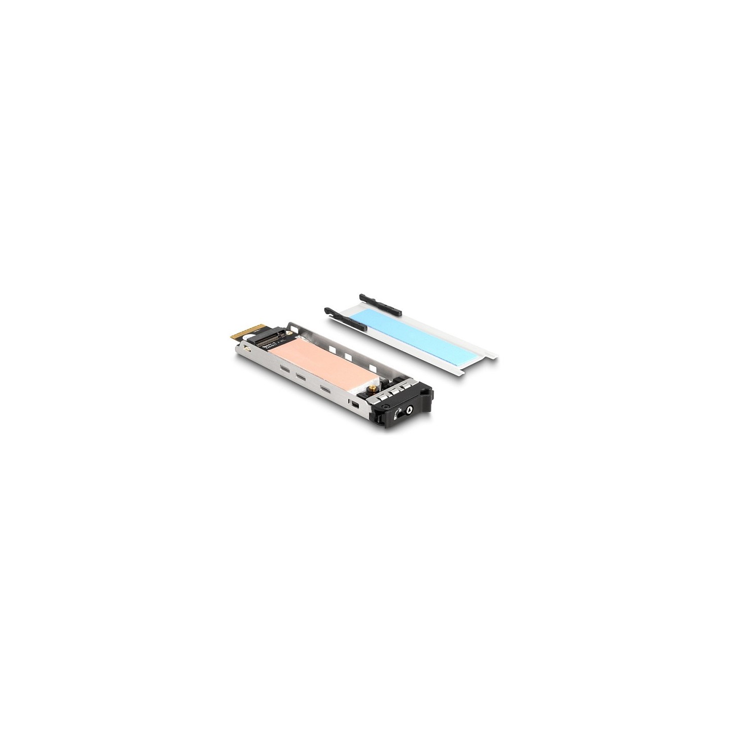 Wechselrahmen Einschub 1 x M.2 NVMe SSD für Wechselrahmen 47028 47042 47070 47072 47111 47117 47126 47129