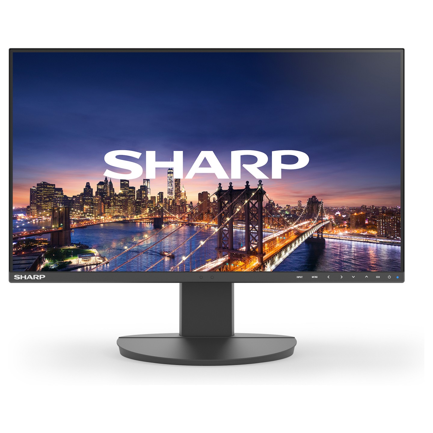 DD-EA242F BLACK 24IN IPS 1920 X 1080 1000:1 250CD — Buy in Cyprus with Fast Delivery