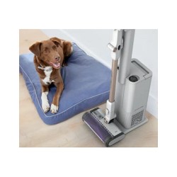 IW3612EUT Akkusauger + Entleerungsstation — Buy in Cyprus with Fast Delivery