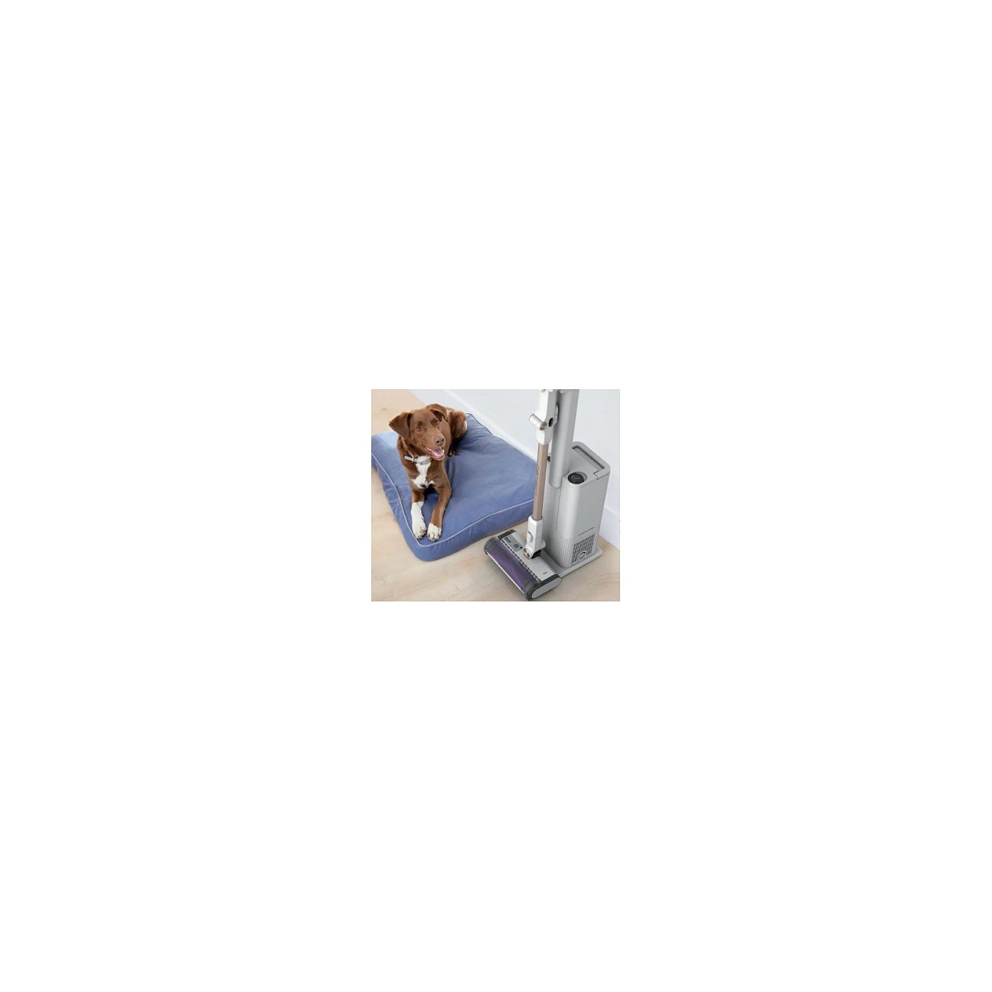 IW3612EUT Akkusauger + Entleerungsstation — Buy in Cyprus with Fast Delivery