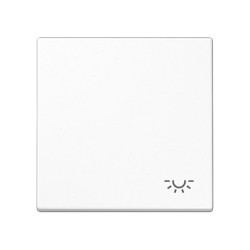 Jung LS 990 L WW Wippe für Taster mit Licht-Symbol — Buy in Cyprus with Fast Delivery