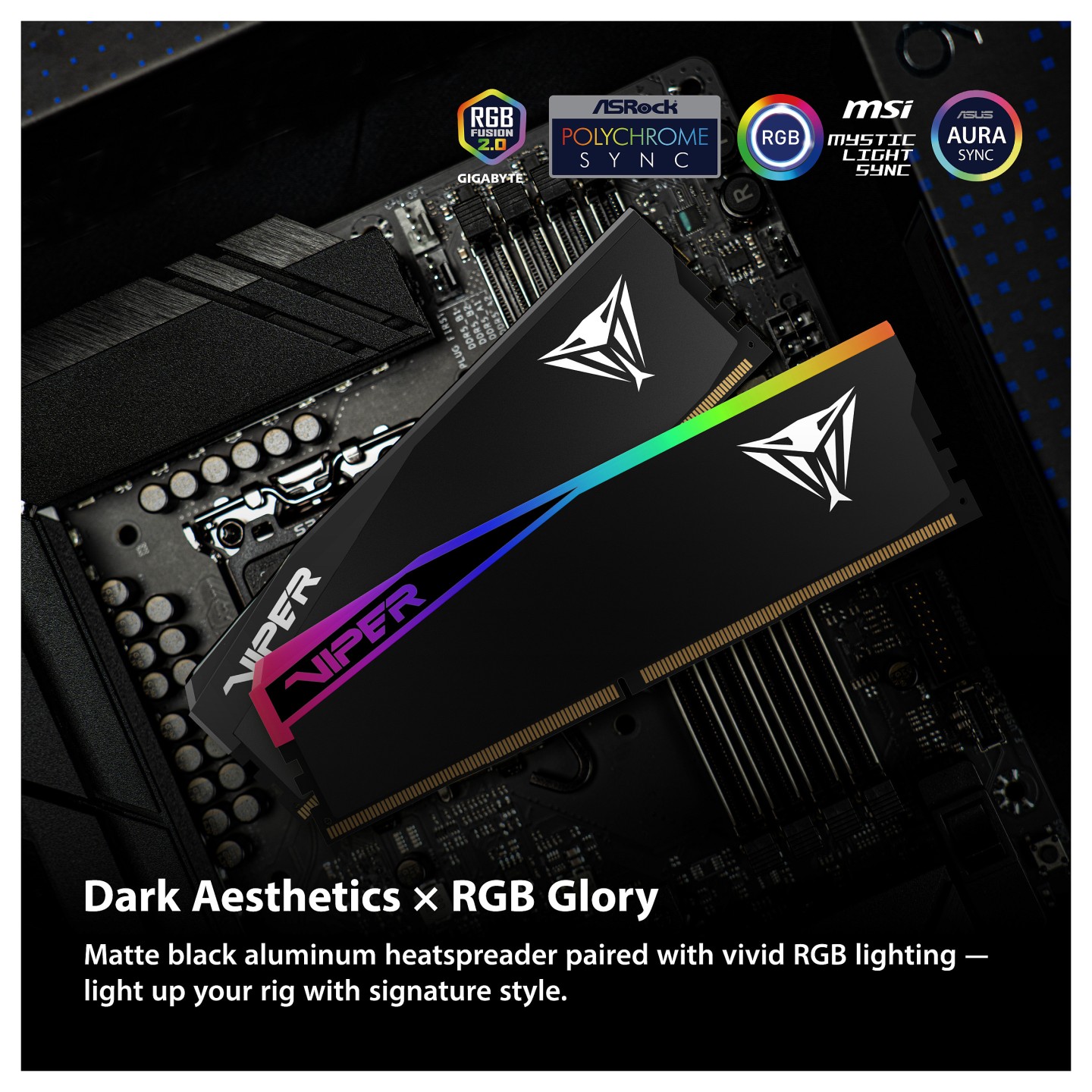 PC6000 Patriot 32GB (2x16) Viper Elite 5 Ultra RGB CL28 — Buy in Cyprus with Fast Delivery