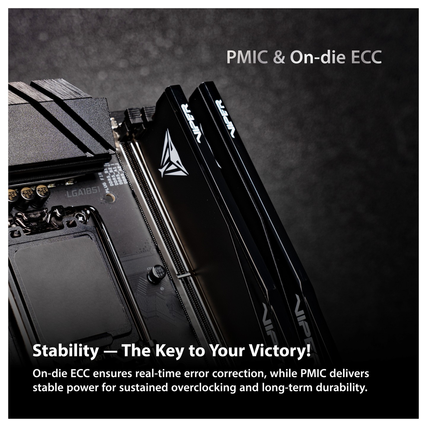PC6000 Patriot 32GB (2x16) Viper Elite 5 Ultra RGB CL28 — Buy in Cyprus with Fast Delivery