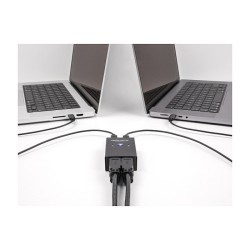 DELOCK USB 2.0 Switch für 2 PC an 4 Geräten — Buy in Cyprus with Fast Delivery