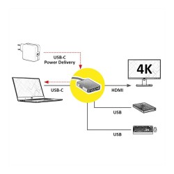 ROLINE GOLD USB Typ C Dockingstation. HDMI 4K. 2x USB 3.2 Gen 1. 1x PD — Buy in Cyprus with Fast Delivery
