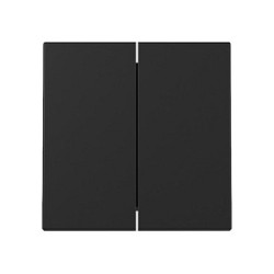 GIRA 3295005 Wippe 2f System 55 Schwarz m — Buy in Cyprus with Fast Delivery