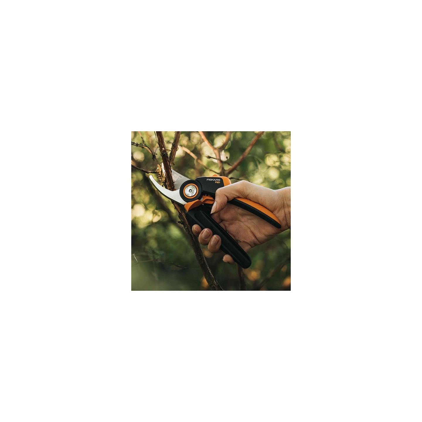 Fiskars Bypass-Gartenschere X-series M P921 — Buy in Cyprus with Fast Delivery