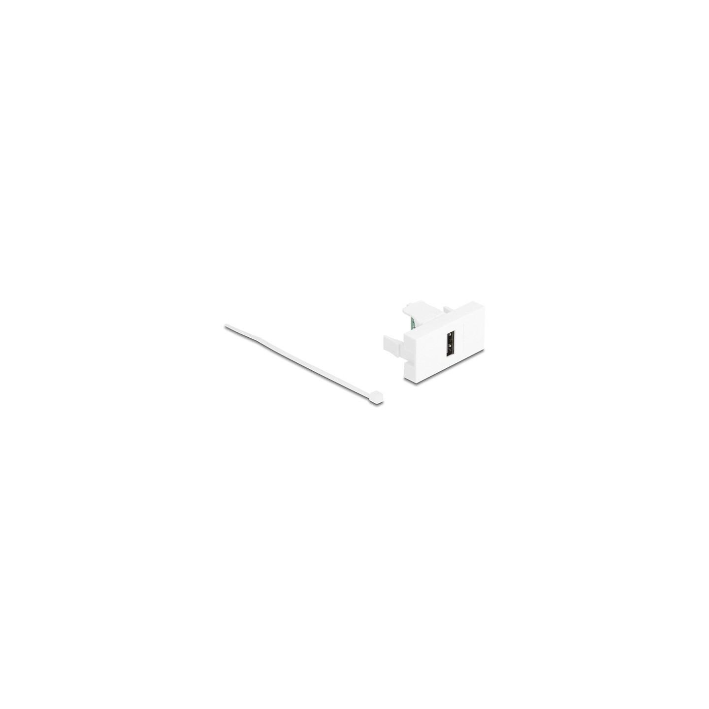 Delock Easy 45 Modul USB 2.0 Typ-A Buchse zu Terminalblock weiß — Buy in Cyprus with Fast Delivery