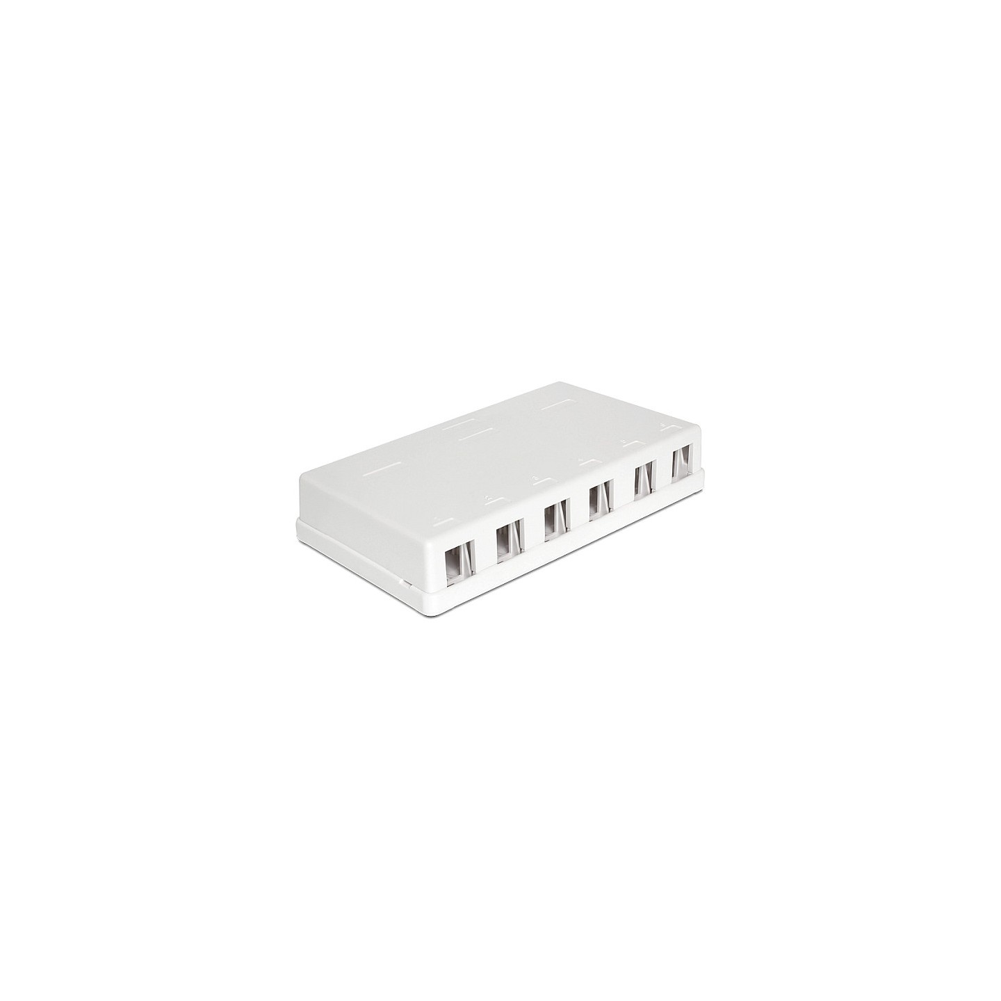 Keystone Leergehäuse 6 Port — Buy in Cyprus with Fast Delivery
