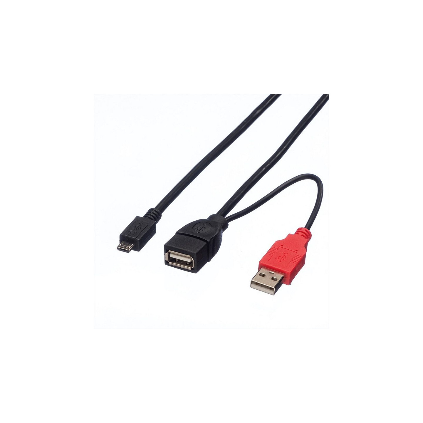 ROLINE USB 2.0 Y-Kabel 2x Typ A ST BU - Micro B ST 1m — Buy in Cyprus with Fast Delivery