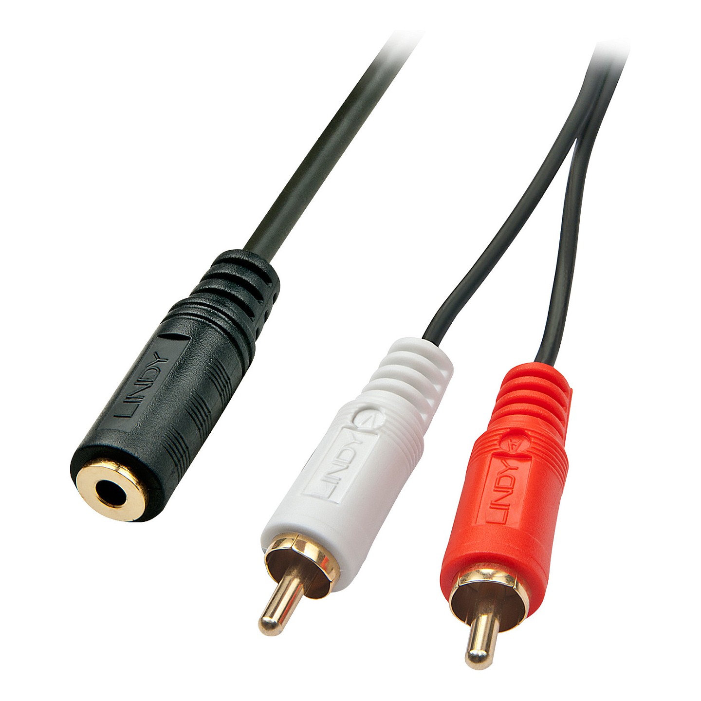 LINDY Audiokabel Stereo 3.5mm 2xRCA F M 0.25m — Buy in Cyprus with Fast Delivery