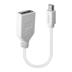 LINDY Mini-DisplayPort an Displayport Adapterkabel M F 0.15m — Buy in Cyprus with Fast Delivery