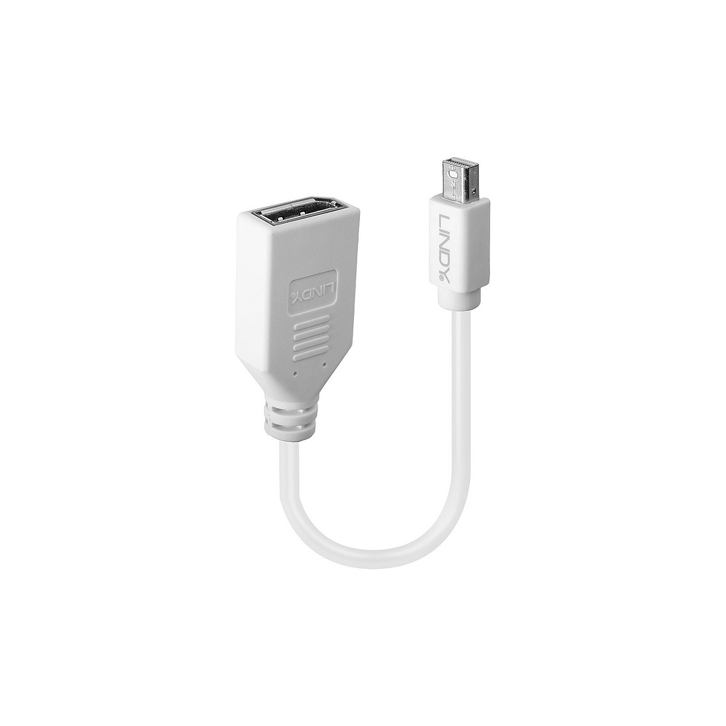 LINDY Mini-DisplayPort an Displayport Adapterkabel M F 0.15m — Buy in Cyprus with Fast Delivery