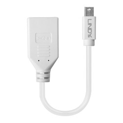 LINDY Mini-DisplayPort an Displayport Adapterkabel M F 0.15m — Buy in Cyprus with Fast Delivery