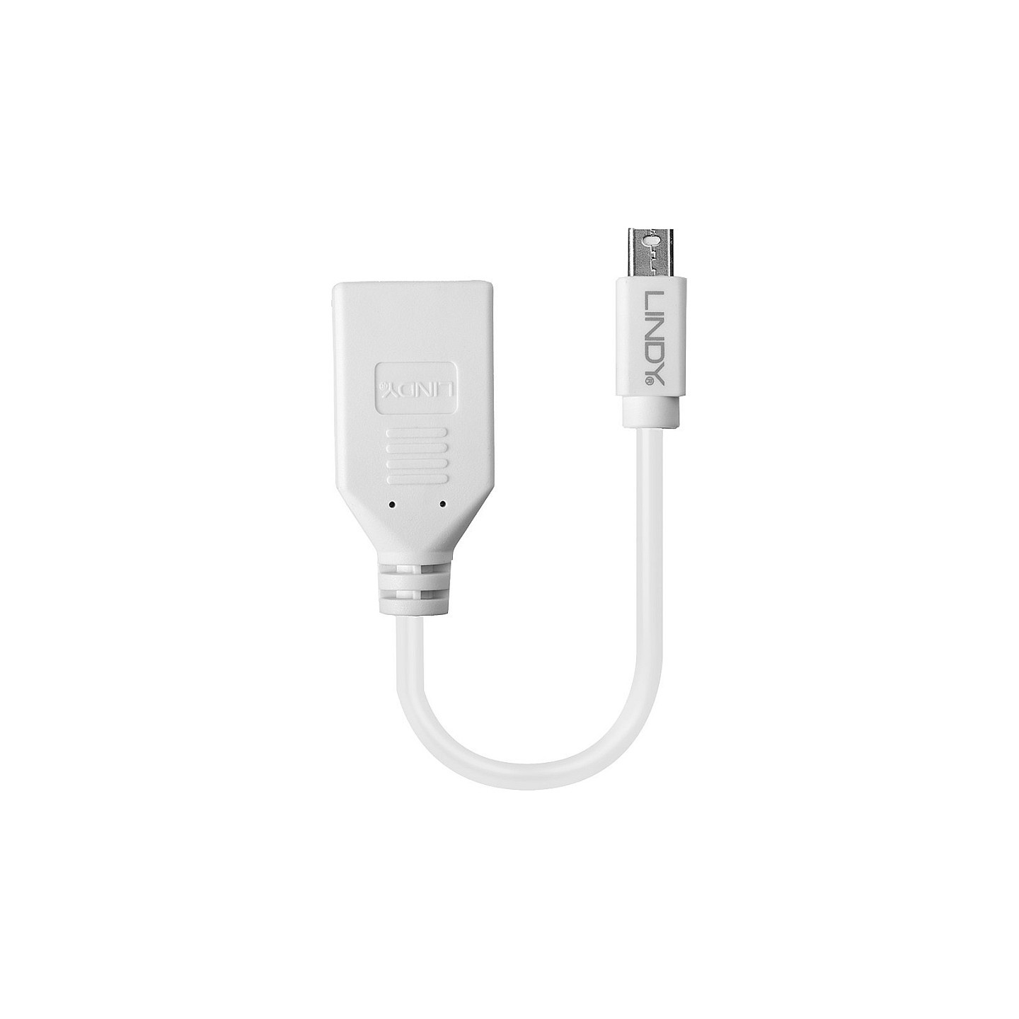 LINDY Mini-DisplayPort an Displayport Adapterkabel M F 0.15m — Buy in Cyprus with Fast Delivery