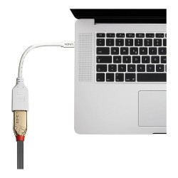 LINDY Mini-DisplayPort an Displayport Adapterkabel M F 0.15m — Buy in Cyprus with Fast Delivery