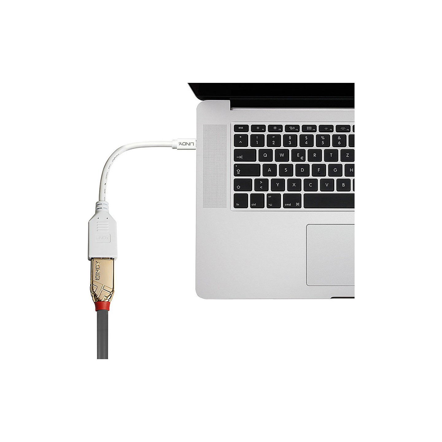 LINDY Mini-DisplayPort an Displayport Adapterkabel M F 0.15m — Buy in Cyprus with Fast Delivery