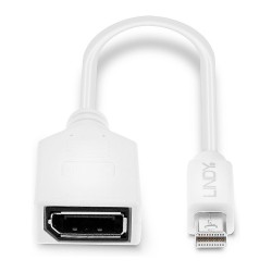 LINDY Mini-DisplayPort an Displayport Adapterkabel M F 0.15m — Buy in Cyprus with Fast Delivery
