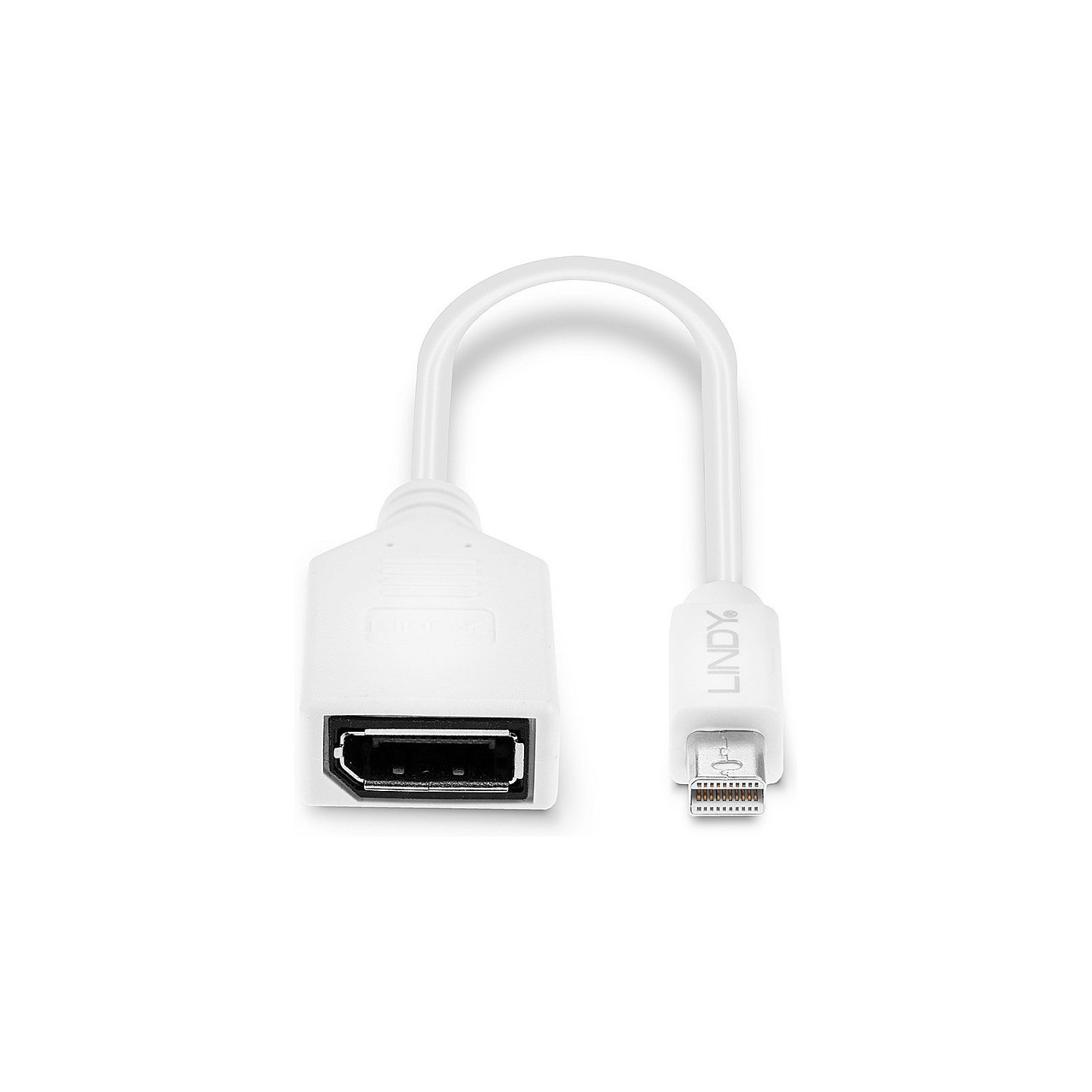 LINDY Mini-DisplayPort an Displayport Adapterkabel M F 0.15m — Buy in Cyprus with Fast Delivery