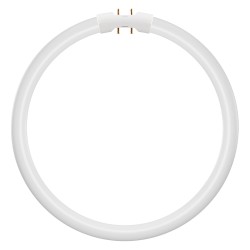 Osram LED Ringlampe T5 FC40 55 P 21.5W 830 2GX13 — Buy in Cyprus with Fast Delivery
