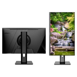 JapanNext FULL HD Monitor 60.5cm (23.8') — Buy in Cyprus with Fast Delivery