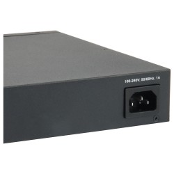 Switch 24x GE GTL-2661 2x10GSFP+19' — Buy in Cyprus with Fast Delivery