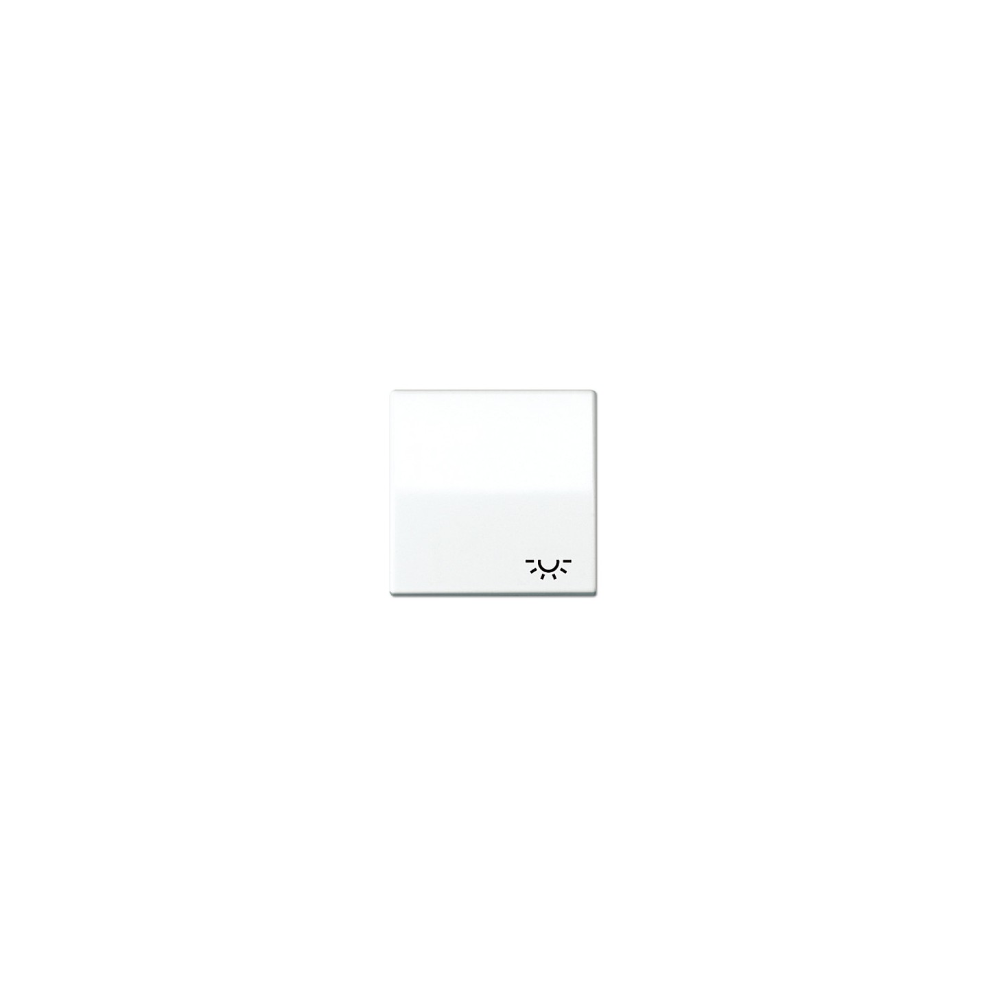 Jung AS 591 L WW Wippe mit Lichtsymbol — Buy in Cyprus with Fast Delivery