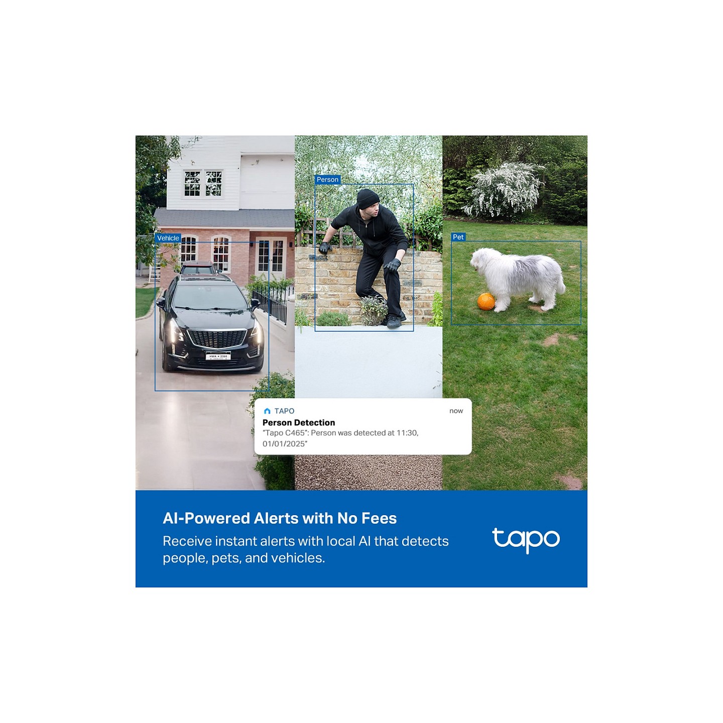 TP-Link Tapo C465 AI Solar Sicherheitskamera Ultra — Buy in Cyprus with Fast Delivery