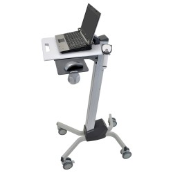ERGOTRON NeoFlex Laptop Cart belastbar bis 6.8kg. Anhebung bis 51cm fuer Notebooks von 30.5 - 43.2cm 12 bis 17 Zoll