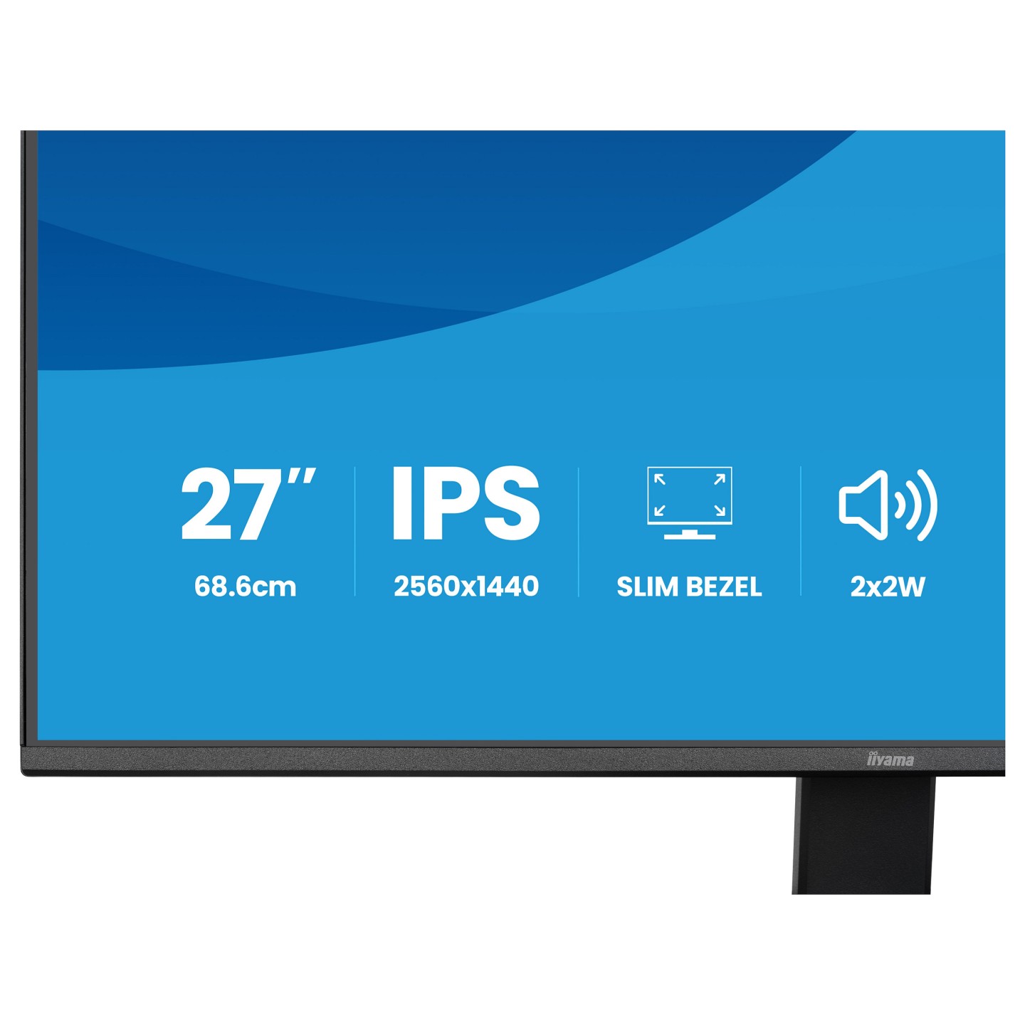 IIYAMA 68.6cm (27') X2791QS-B1 16:9 HDMI+DP IPS — Buy in Cyprus with Fast Delivery