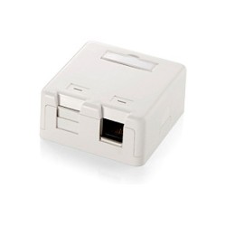 Equip Aufputzdose 2x Keystone Jack mit Abdeckung Premium ws — Buy in Cyprus with Fast Delivery