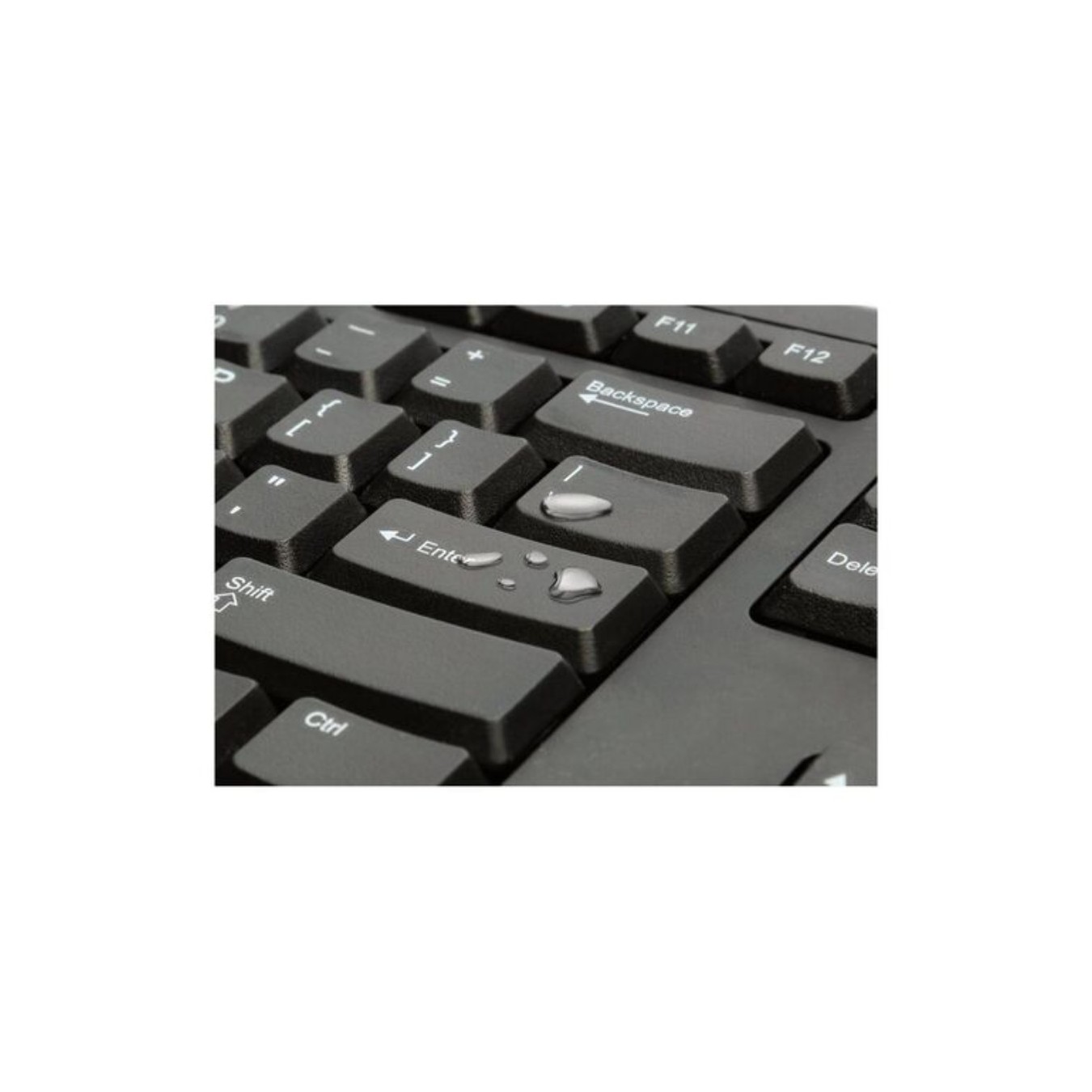 Genius KB-100 - USB Wired Office Keyboard US Layout | Armenius Store