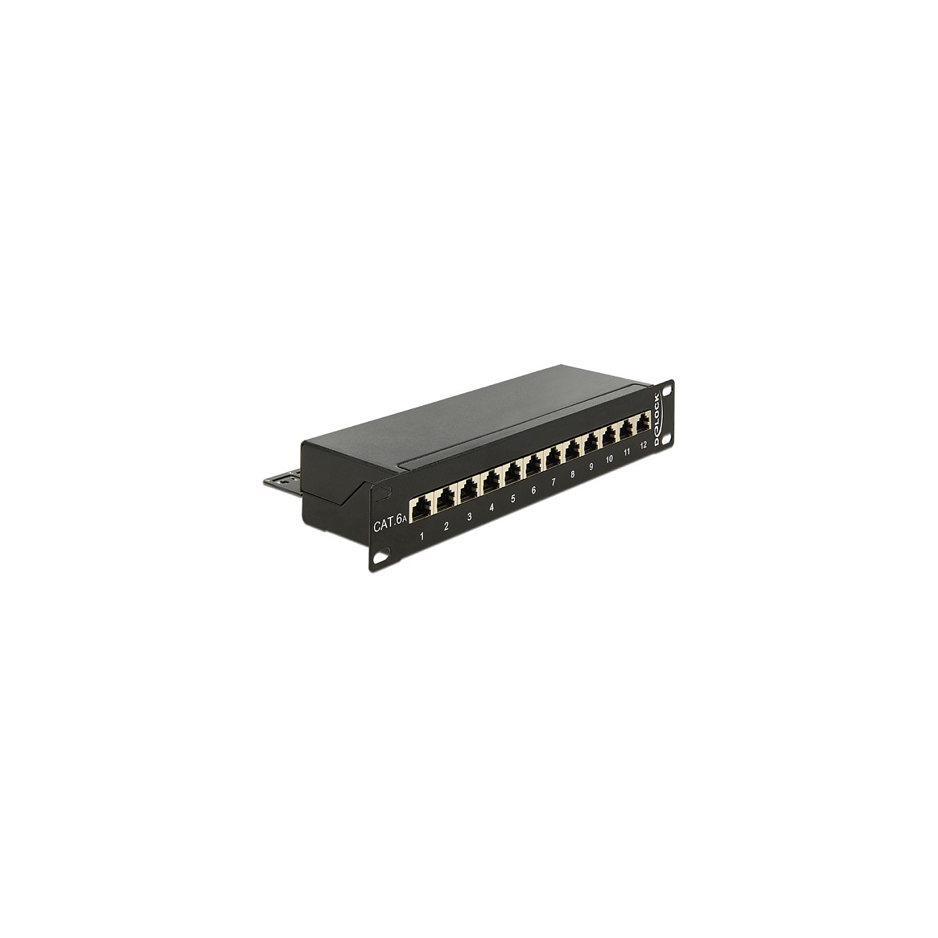 Buy Delock 10? Patchpanel 12 Port Cat.6A schwarz in Cyprus, Nicosia, Limassol, Larnaka, Pafos