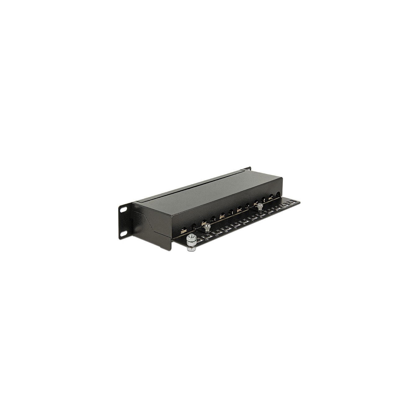 Buy Delock 10? Patchpanel 12 Port Cat.6A schwarz in Cyprus, Nicosia, Limassol, Larnaka, Pafos