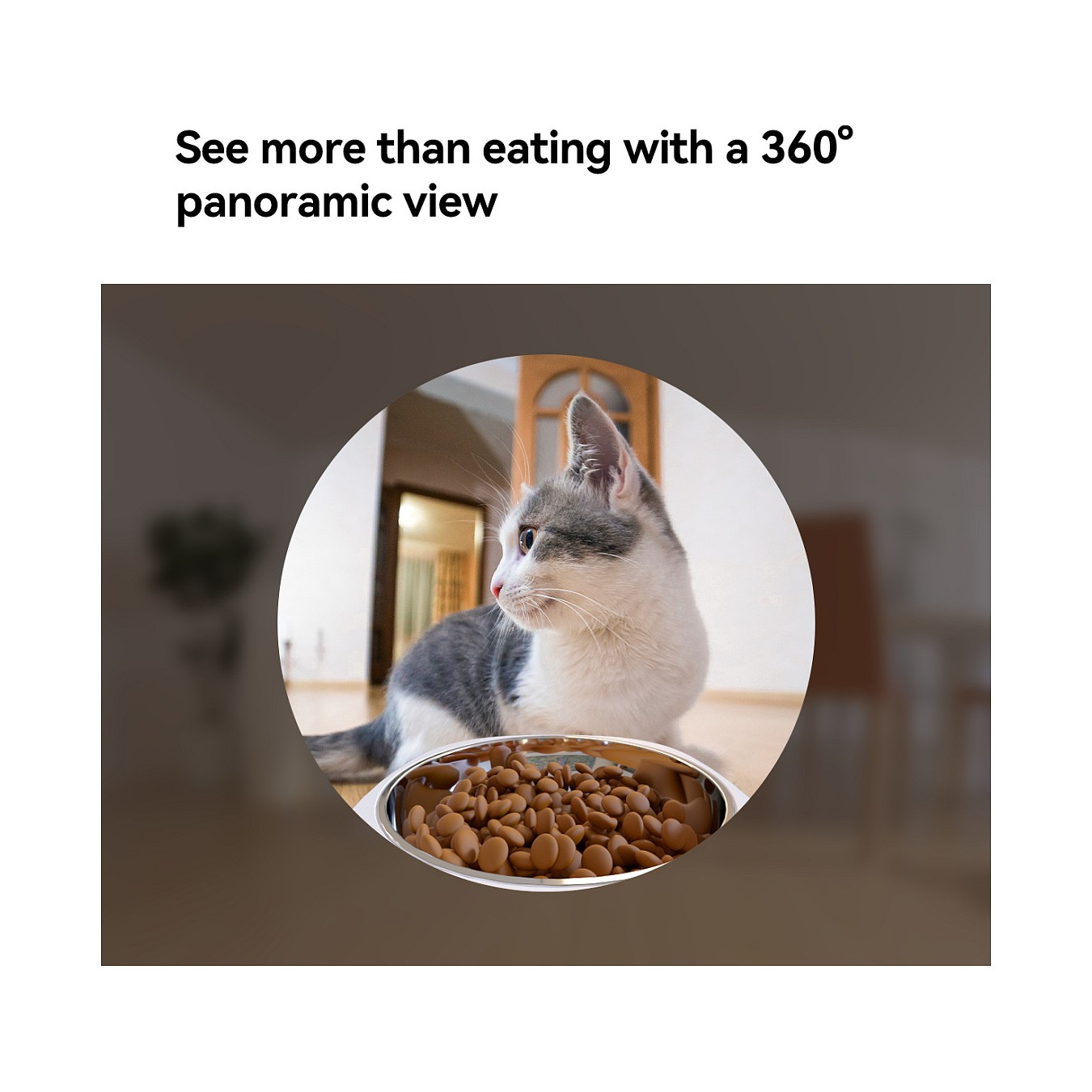 Buy IMOU PF1 4L Video Pet Feeder in Cyprus, Nicosia, Limassol, Larnaka, Pafos