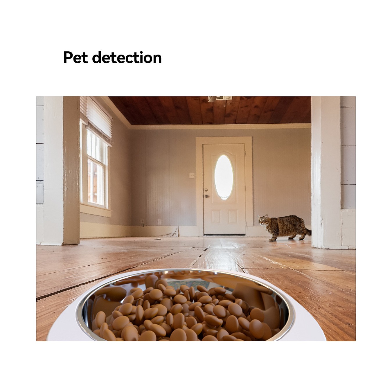 Buy IMOU PF1 4L Video Pet Feeder in Cyprus, Nicosia, Limassol, Larnaka, Pafos