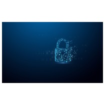 Buy STICK 256GB Kingston IronKey Locker Plus 50 G2 in Cyprus, Nicosia, Limassol, Larnaka, Pafos