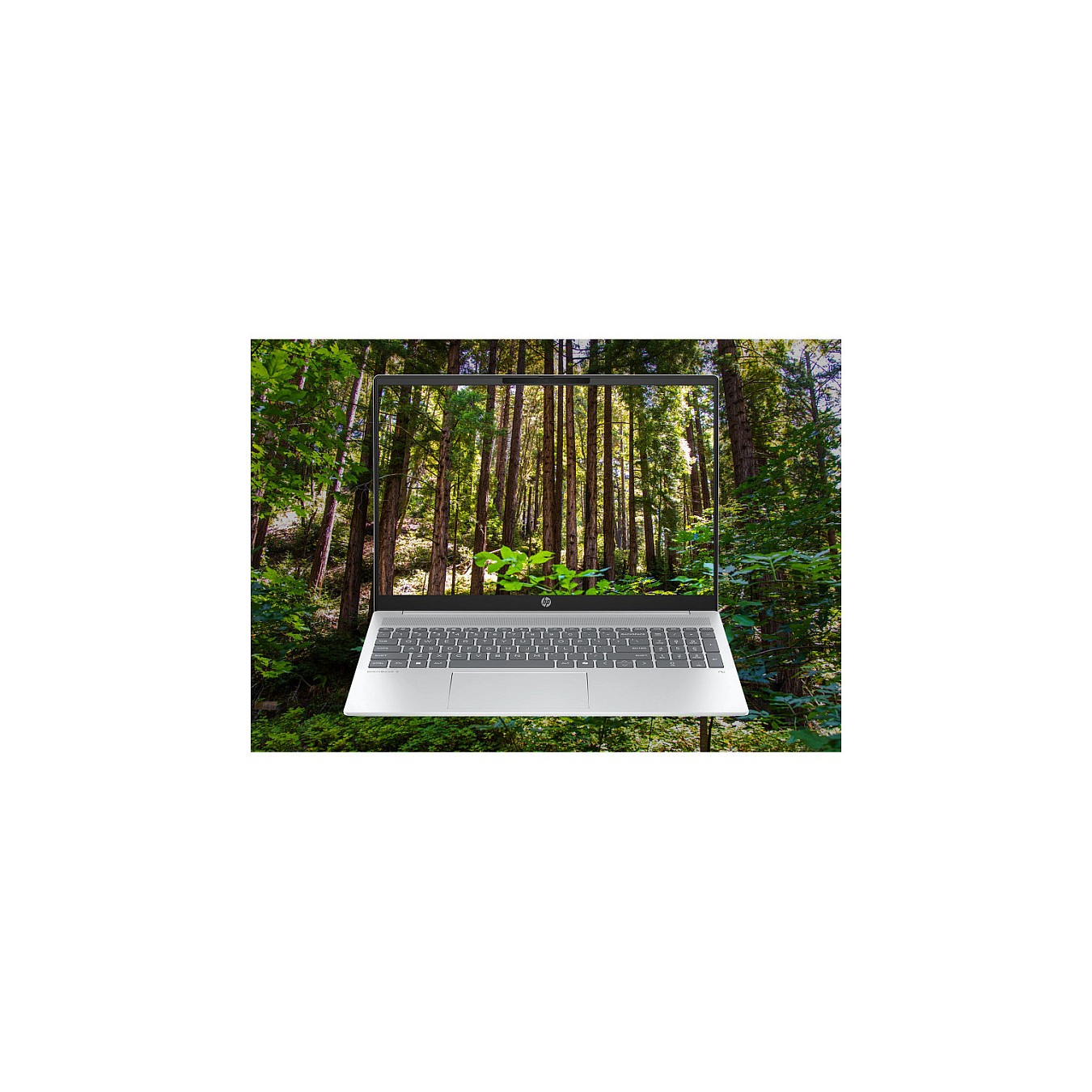 Buy HP OmniBook 5 16-ag1173ng RYZ AI 7 350 16GB 512SSD W11 Home in Cyprus, Nicosia, Limassol, Larnaka, Pafos