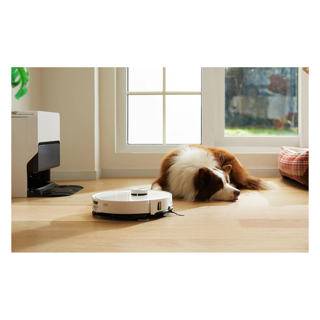Buy Roborock S8 MaxV Ultra White Saugroboter in Cyprus, Nicosia, Limassol, Larnaka, Pafos