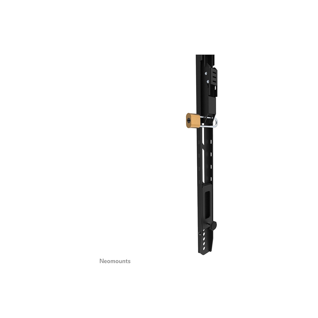 Buy Neomounts LEVEL-750 - Befestigungskit - für TV - schwerlast - verriegelbar - Stahl - Schwarz - Bildschirmgröße: 109-2... in 