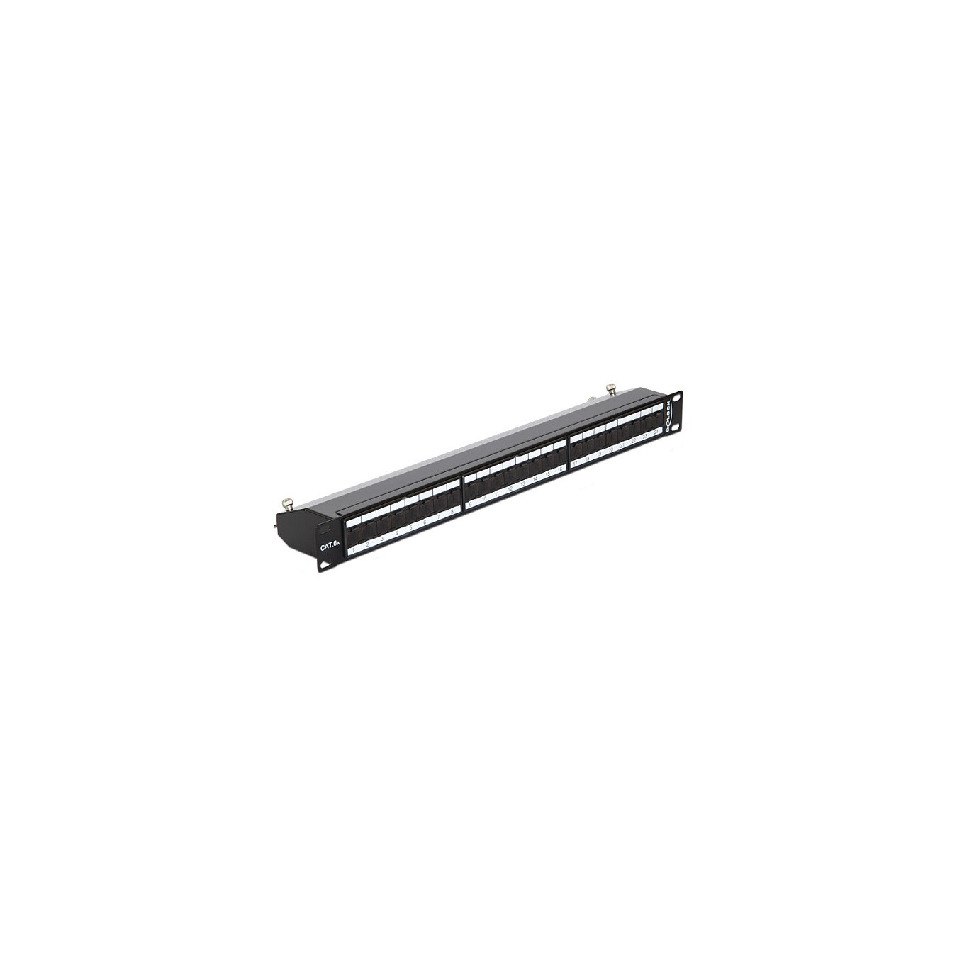 Buy Delock 19? Patchpanel 24 Port Cat.6A schwarz in Cyprus, Nicosia, Limassol, Larnaka, Pafos