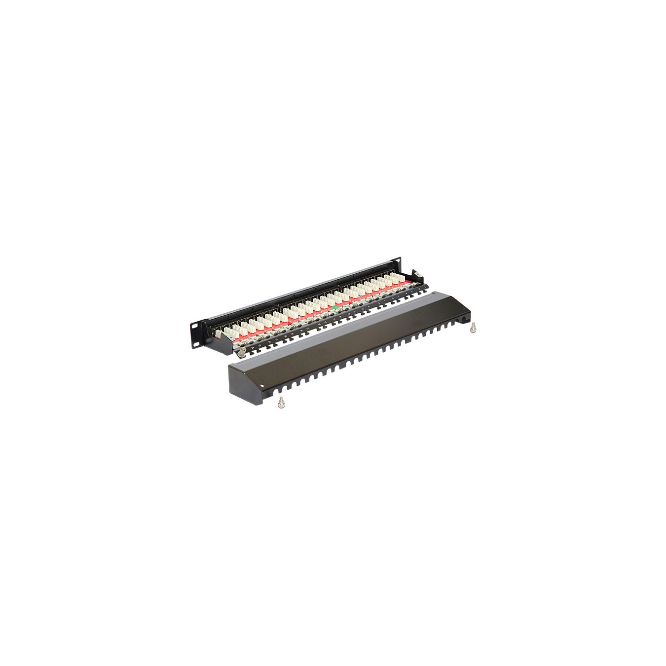 Buy Delock 19? Patchpanel 24 Port Cat.6A schwarz in Cyprus, Nicosia, Limassol, Larnaka, Pafos