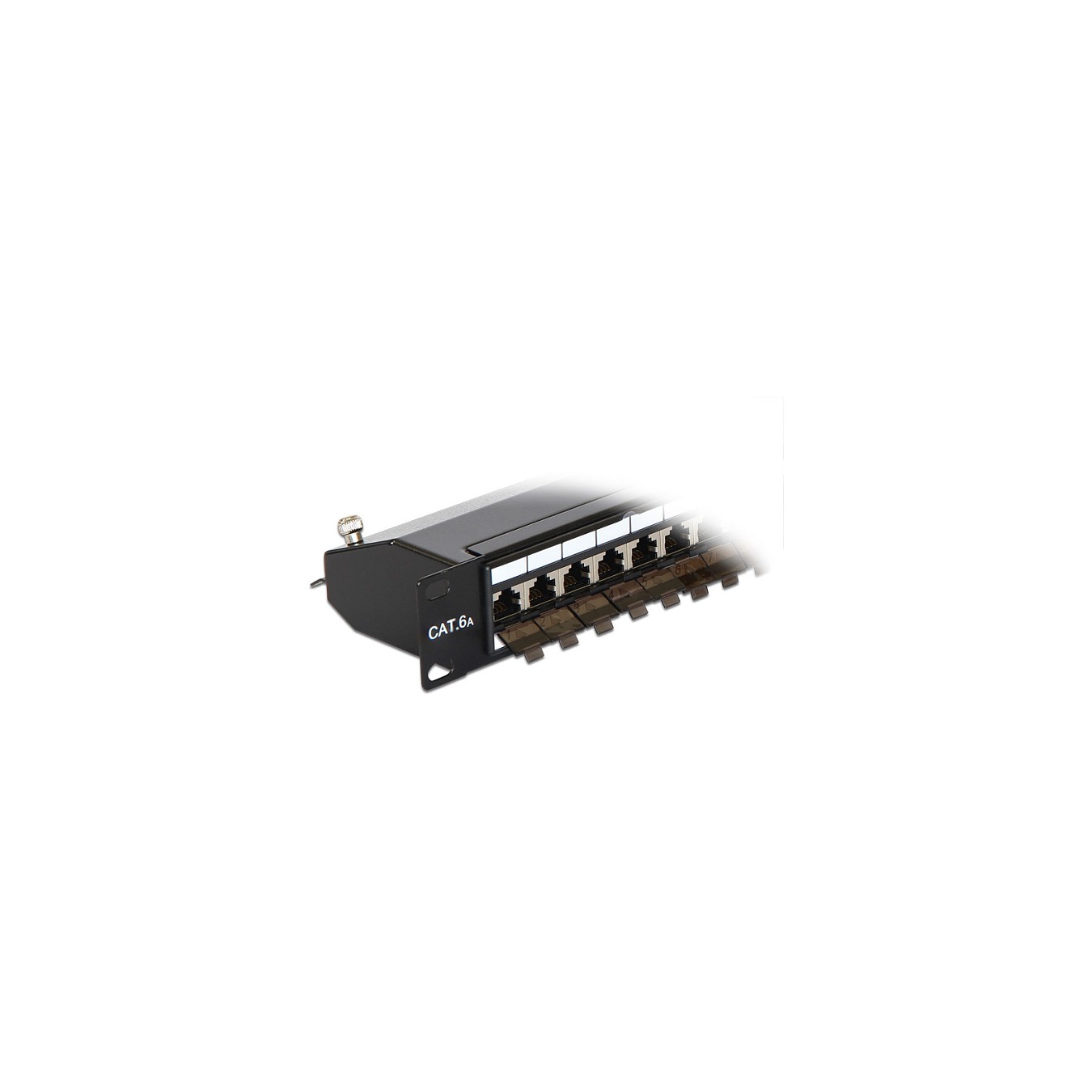 Buy Delock 19? Patchpanel 24 Port Cat.6A schwarz in Cyprus, Nicosia, Limassol, Larnaka, Pafos