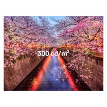 Buy JapanNext FHD Gaming Monitor 60,45cm (23,8') in Cyprus, Nicosia, Limassol, Larnaka, Pafos