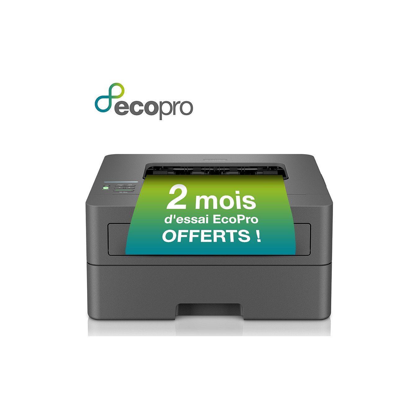 Buy L Brother HL-L2445DW Laserdrucker A4 32 S. Min. LAN WLAN Duplex in Cyprus, Nicosia, Limassol, Larnaka, Pafos